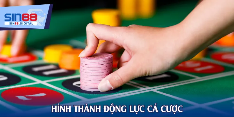 Hình thành động lực cá cược
