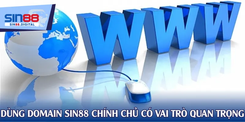 Sử dụng domain SIN88 chính chủ đóng vai trò quan trọng
